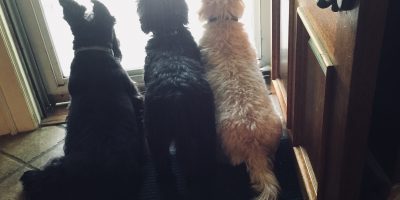 Neville & Thursby & HW